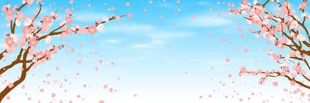 Beautiful sakura flower cherry blossom in spring. sakura tree flower on blue sky with blur light bokehのイラスト素材