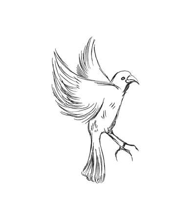 Freedom concept. Hand drawn pigeon flying out of two hands. Freedom of life, free bird enjoying nature isolated vector illustrationのイラスト素材