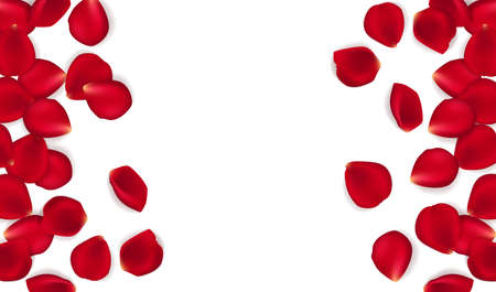 Red rose petals against white background. Eps 10 vector. Vector red rose petals backgroundのイラスト素材