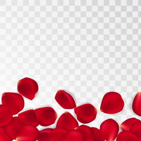 Red rose petals against white background. Eps 10 vector. Vector red rose petals backgroundのイラスト素材