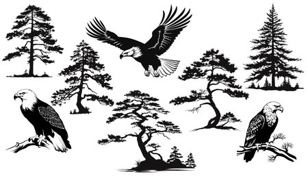 Set of forest trees, eagle silhouettes.のイラスト素材