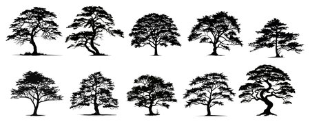 Vector set of tree silhouettes, isolated on white background.のイラスト素材