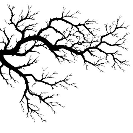 Autumn tree branches,silhouette of fallen branches without leaves.Vector illustration isolated on a white background.のイラスト素材