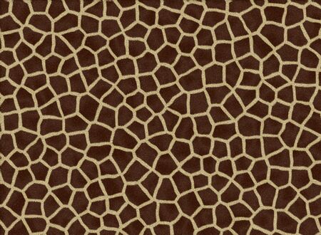 Animal fur texture. Seamless repeatedly pattern.の写真素材