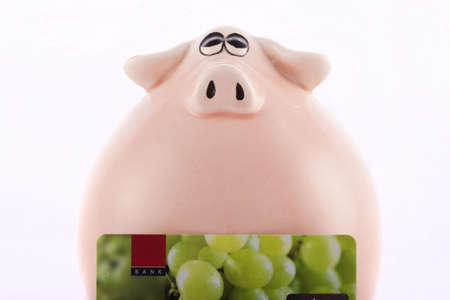 Pig moneyboxの写真素材