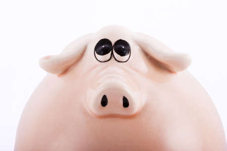 Pig moneyboxの写真素材