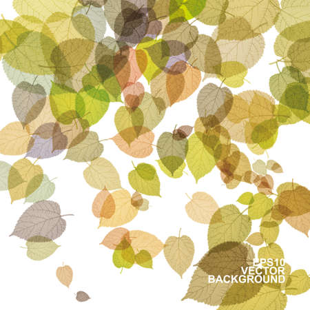 Colorful Autumn Leaves Backgroundのイラスト素材
