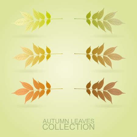 Leaves - Autumn is Comingのイラスト素材