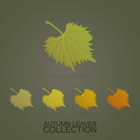 Leaves - Autumn is Comingのイラスト素材