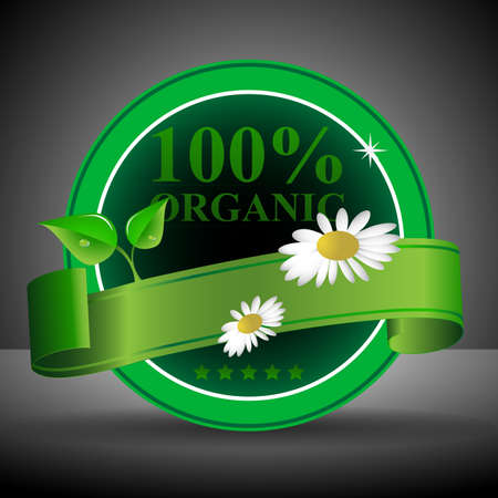 Green Eco Friendly Label or Badge Templateのイラスト素材