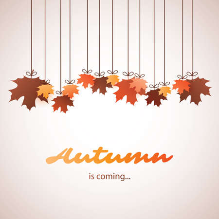 Autumn is Coming - Colorful Cover, Banner, Placard, Poster or Flyer Design with Fallen Autumn Leaves -  Vector Background Templateのイラスト素材