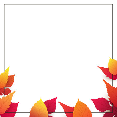 White Background Layout, Colorful Autumn Leaves - Advertising Design Template - Frame Decorated with Fallen Red, Golden and Brown Leaves - Multi Purpose Design with Copyspace, Room,Place for Your Textのイラスト素材