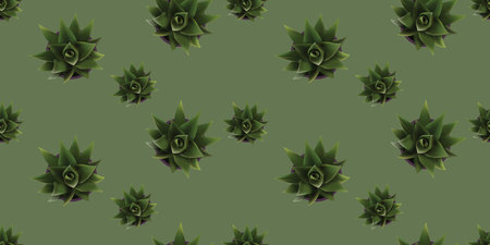 Seamless Texture of Many Green Ornamental Plants in Flowerpot, Above View - Lots of Home Plants Pattern on Dark Background - Seasonal Wallpaper Design, Template for Web in Editable Vector Formatのイラスト素材