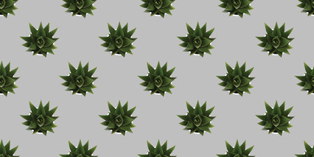 Seamless Texture of Many Green Ornamental Plants in Flowerpot, Above View - Lots of Home Plants Pattern on Grey Background - Seasonal Wallpaper Design, Template for Web in Editable Vector Formatのイラスト素材