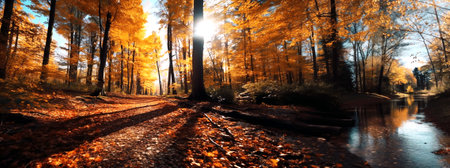 Autumn leaves, trees, seasonal colors in the forest. Sunbeam, long shadows around a path along with a stream in the woods. Wide scale panoramic AI generated image of a natural scene.の素材