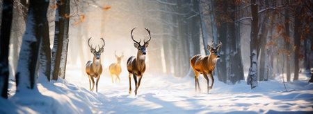 Magical deers running in the snowy forest. Snowfall in the sunset. Widescale imageの素材