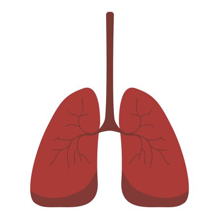 Lungs icon, flat style. Internal organs of the human design element, logo. Anatomy, medicine concept. Healthcare. Isolated on white background. Vector illustration eps10のイラスト素材