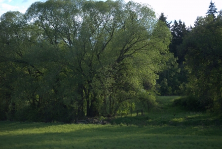 a spring country sceneの写真素材