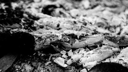 white wood burning charcoal texture