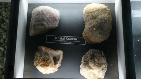 20 August 2019, Bandung, Indonesia: Fossils of ancient animal bones located in the Geological Museum...