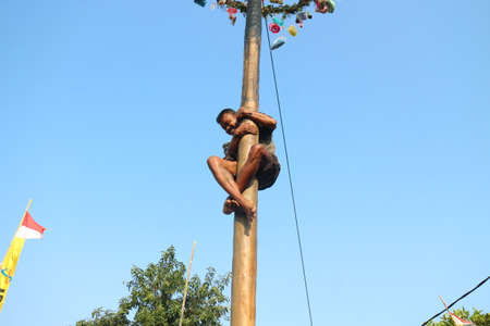 Traditional game from Indonesia named Panjat Pinang. This game won prizes that were mounted on top of the areca tree by climbing.のeditorial素材