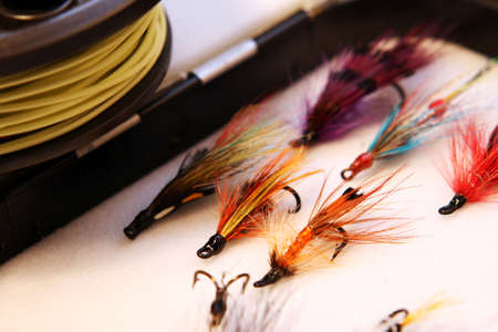 Fly Fishingの写真素材