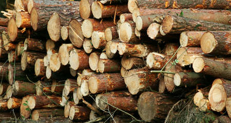 Logs