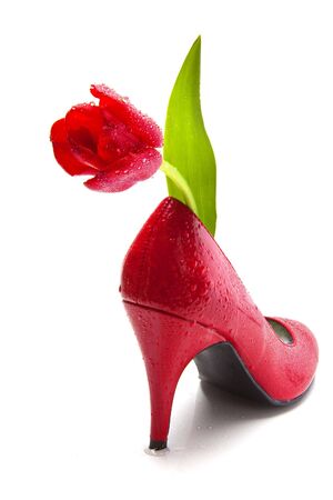 Red Tulip in high heel shoeの写真素材