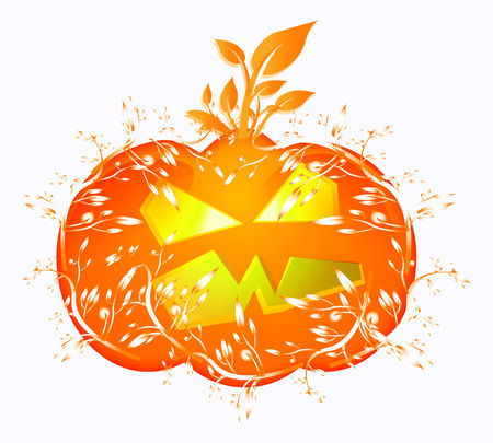 vector pumpkin on white background のイラスト素材