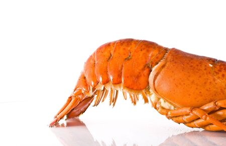 Cooked fresh lobster tail on white backgroundの写真素材