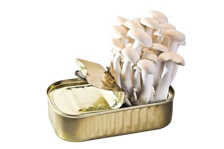 Genetically-modified Tinned Mushroomsの写真素材
