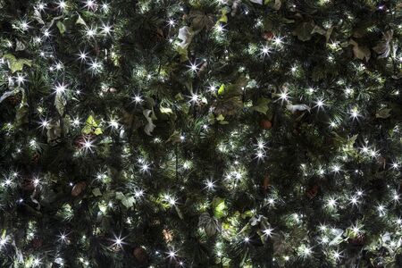 Christmas lights and decorations background