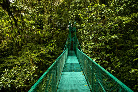 A hanging bridge in the jugles of Costa rica