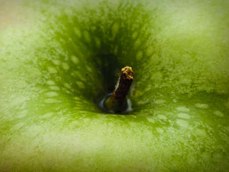 A closeup of the top of a green appleの写真素材