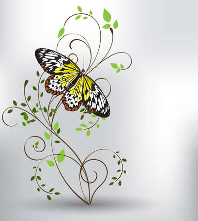 spring and butterflyのイラスト素材