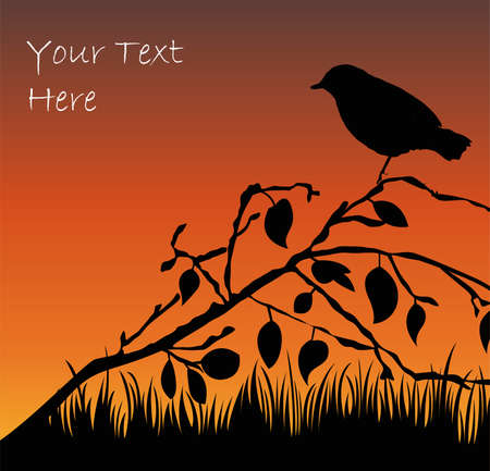 silhouette of the birdのイラスト素材