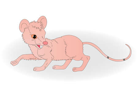 illustration of a rat with a long tail on a white backgroundのイラスト素材