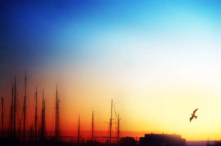 awakeningの写真素材