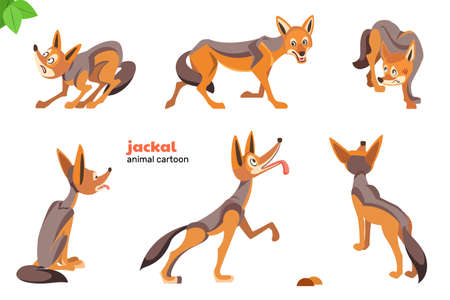 Jackal Cartoon Character Vector illustration. Set of cute cartoon characters isolated on white background.のイラスト素材