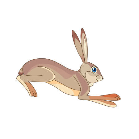 Hare running and jumping. Cartoon character of a small mammal animal. A wild forest creature with gray fur. Side view. Vector flat illustration isolated on a white backgroundのイラスト素材