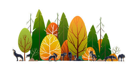 Wolf pack in the forest. Timber wolves hunt. Landscape, Green trees park, alley and foliage in summer with animals. Row of trees and shrubs. Cartoon vector illustration isolated on white backgroundのイラスト素材