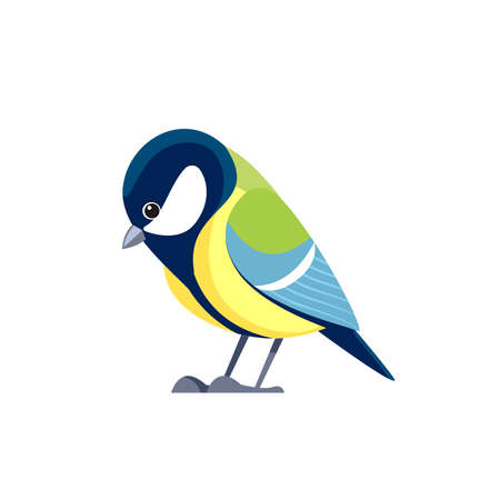 Titmouse bird or Great tit is a passerine bird in the tit family Paridae. Cartoon flat style beautiful character of ornithology, vector illustration isolated on white backgroundのイラスト素材