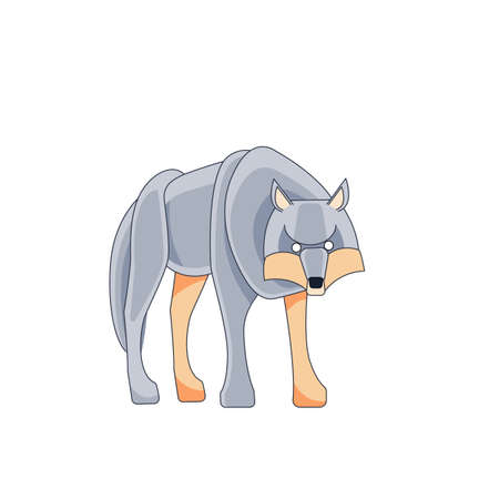 Big Wolf looks and walks straight. Cartoon character of a dangerous mammal animal. A wild forest creature with gray fur. Front view. Vector flat illustration isolated on a white backgroundのイラスト素材