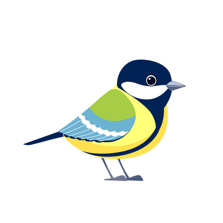 Great tit is a passerine bird in the tit family Paridae. Titmouse bird Cartoon flat style beautiful character of ornithology, vector illustration isolated on white backgroundのイラスト素材