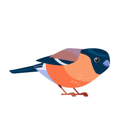 Eurasian Bullfinch sits. Brown bullfinch in the nature habitat. Pyrrhula pyrrhula. Wildlife scene with songbird. Vector cartoon bird character flat style illustration isolated on white backgroundのイラスト素材