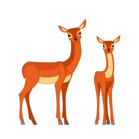 Beautiful deer family. Wildlife of forest mammals. Cartoon flat style drawing vector illustration isolated on white backgroundのイラスト素材