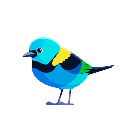 Green headed Tanager, Tangara seledon . Tanager is a brightly-colored bird Cartoon flat style beautiful character of ornithology, vector illustration isolated on white backgroundのイラスト素材