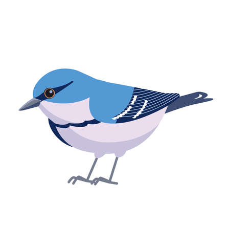 Cerulean warbler is a small songbird of the New World warbler family. Bird cartoon flat style beautiful character of ornithology, vector illustration isolated on white backgroundのイラスト素材
