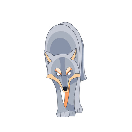 Wolf looks and walks straight. Cartoon character of a dangerous mammal animal. A wild forest creature with brown fur. Front view. Vector flat illustration isolated on a white backgroundのイラスト素材