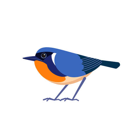 Firethroat bird also known as Davids rubythroat or PÃ¨re Davids orangethroat is a species of passerine bird in the family Muscicapidae. Calliope pectardens. Cartoon flat style vector illustrationのイラスト素材